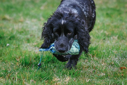 Canvas Training Dummy-1/2lb and 1lb