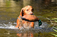 Dokken Dead Fowl Trainer | Pheasant | Best Seller