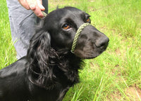 Sporting Saint Figure of 8 Lead — Rope Training Lead for Pulling Dogs