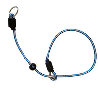 Field Trial PRO Slip Collar fitted on gundog — correct high-neck positioning for training and field trial use
