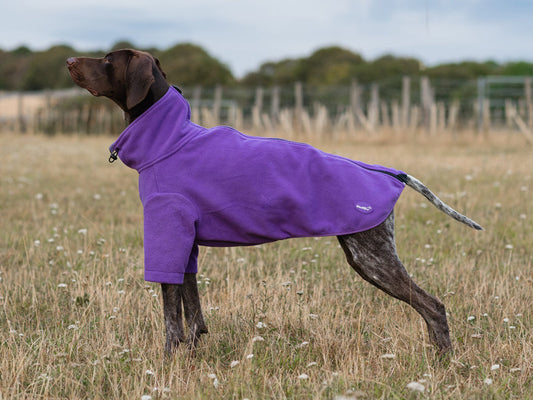 Fleece Dog Jumper - Purple