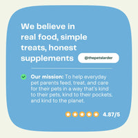 Goats Milk Powder for Dogs A Natural Probiotic