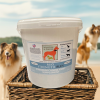 Max Strength Plus Premium Canine Joint Supplement From