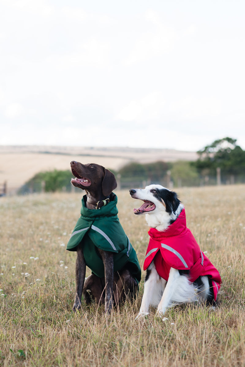 Luxe Waterproof Dog Coat 250g - Hunter Green