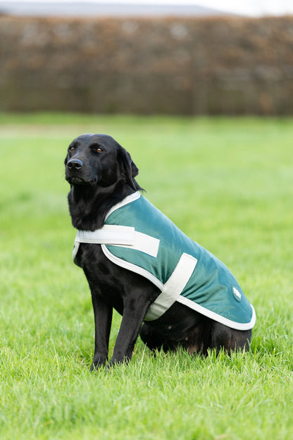 Classic 240g Waterproof Dog Coat - Hunter Green