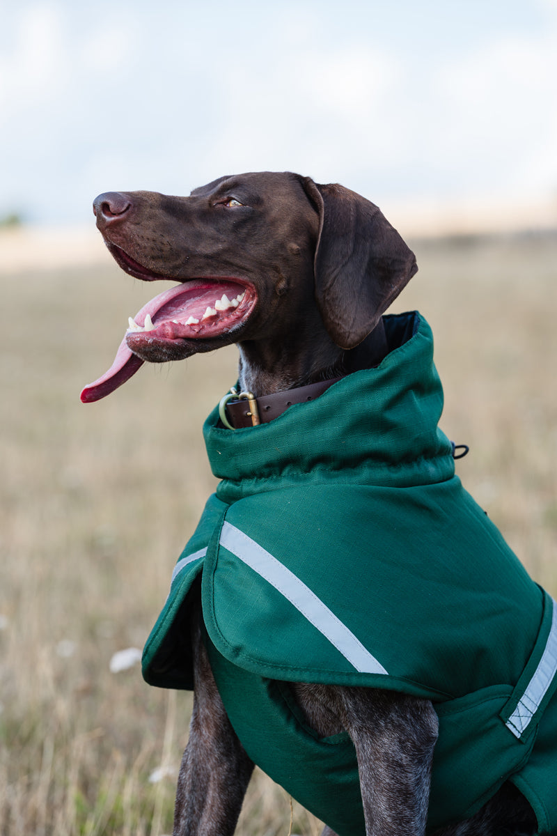 Luxe Waterproof Dog Coat 0g - Hunter Green
