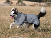 Luxe Waterproof Dog Coat 0g - Reflective Silver