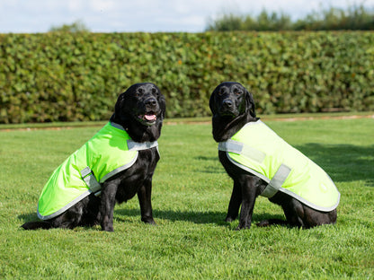 Classic 240g Waterproof Dog Coat - High Viz Yellow
