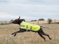 Classic Waterproof Dog Coat 150g - High Viz Yellow