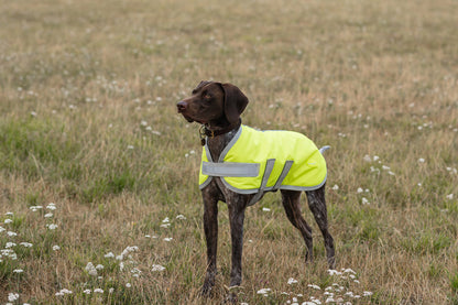 Classic Waterproof Dog Coat 150g - High Viz Yellow