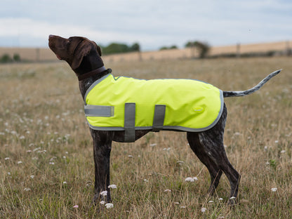 Classic Waterproof Dog Coat 150g - High Viz Yellow