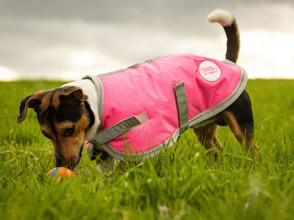 Classic 240g Waterproof Dog Coat - High Viz Pink
