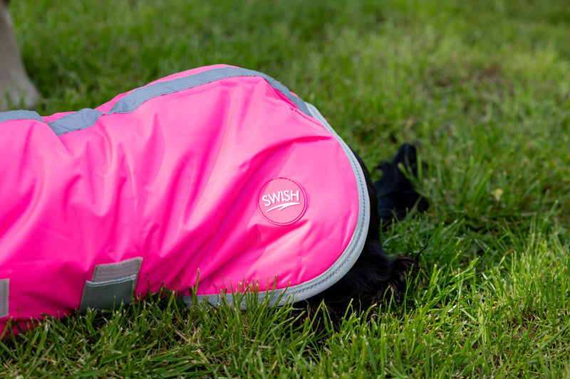 Classic 240g Waterproof Dog Coat - High Viz Pink
