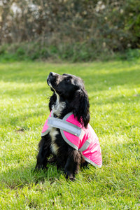 Classic 240g Waterproof Dog Coat - High Viz Pink