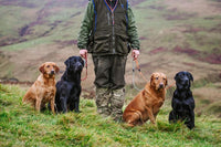 Field Trial PRO Slip Lead for Gundogs – Lightweight Training & Competition Lead (1.2m) | Sporting Saint UK