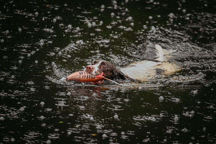 Dokken Dead Fowl Dummy Trainers-Partridge-Grouse