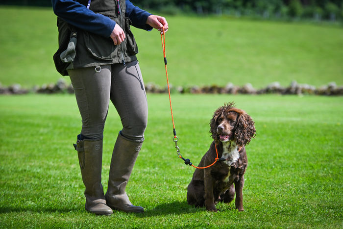 Field Trial PRO Lead All In One | 5-in-1 | Slip Lead, Trigger Hook, Heeling Lead & More | Sporting Saint