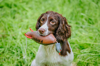 Dokken Dead Fowl Trainer | Partridge | Walked-Up & Rough Shooting