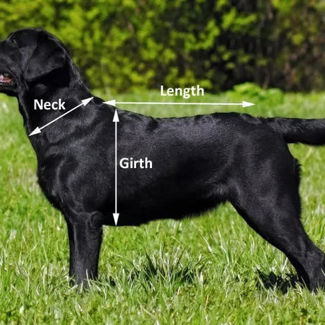 Towelling Drying Dog Coat.