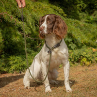 Gundog Slip Lead | 4 Lengths & 3 Colours | Everyday Training Lead from £6.45