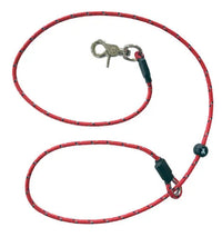Sporting Saint Field Trial PRO Hands Free Lead | 5mm English Braid | 5 Colours