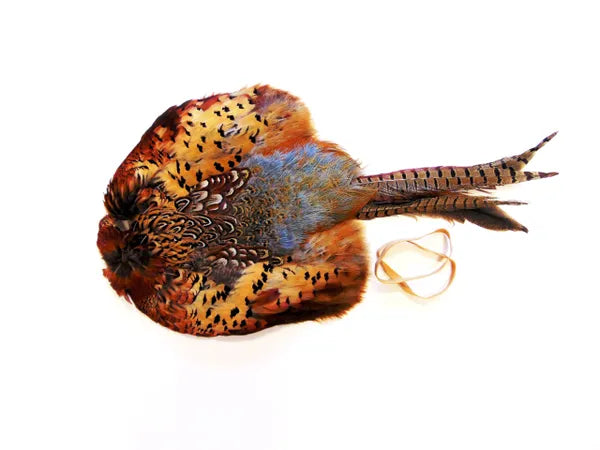 Cock And Hen Pheasant Pelt Only.