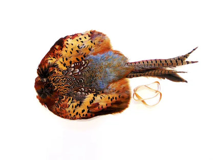 Cock And Hen Pheasant Pelt Only.