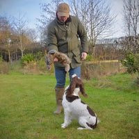 BG Rabbit Dummy in use — gundog retrieving lifelike rabbit training dummy