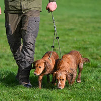 Brace Set - Slip Lead (2 Dogs).