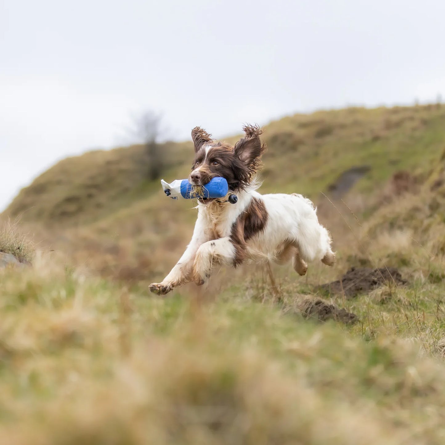 Flinger Mid Sized Marking Dummy By Laura Hill.