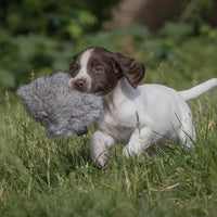 Puppy Rabbit Dummy