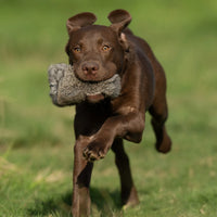 Junior Puppy Dummy