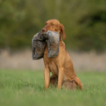 All In One Dummies Hare.