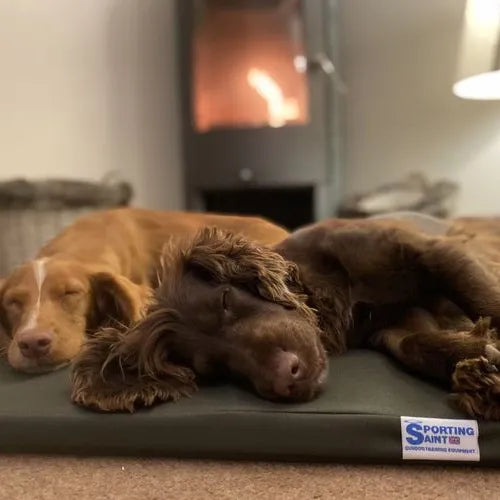 The Meadow Boot Dog Bed.
