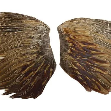 Pheasant Wings