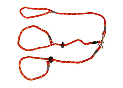 Brace Set - Slip Lead (2 Dogs).