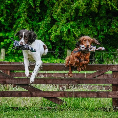 Sporting Saint Launcher Bird Dummy.
