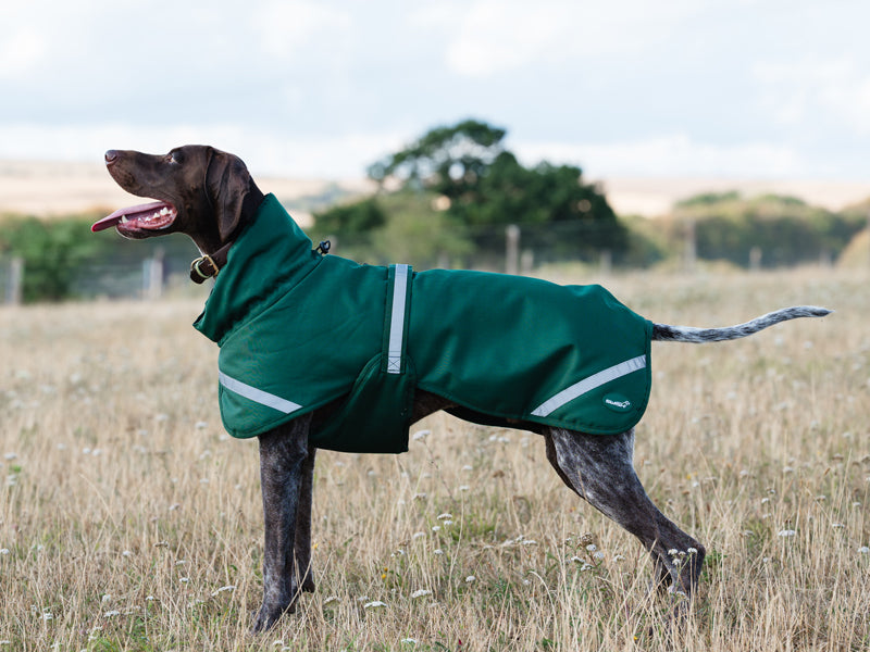 Luxe Waterproof Dog Coat 250g - Hunter Green
