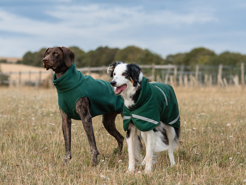 Fleece Dog Coat - Hunter Green