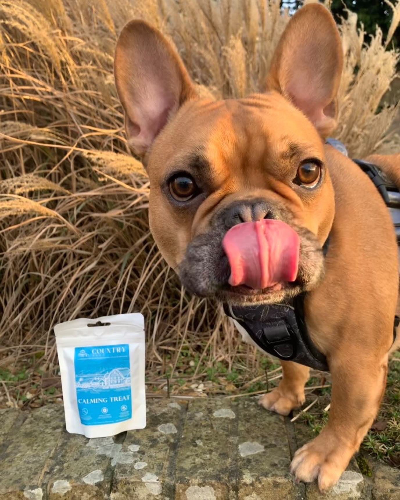 Calming - Duck & Lavender-Dog Treats