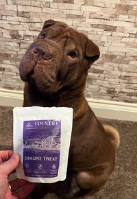 Immune Boost Bites-Dog Treats