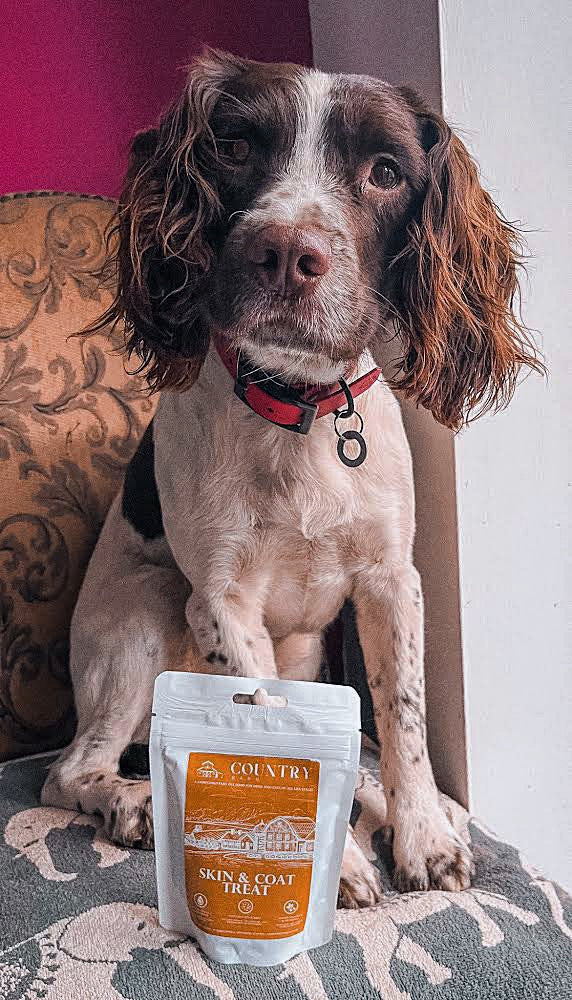 Skin & Coat Boost Chicken-Dog Treats