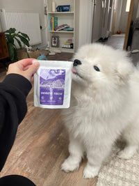 Immune Boost Bites-Dog Treats