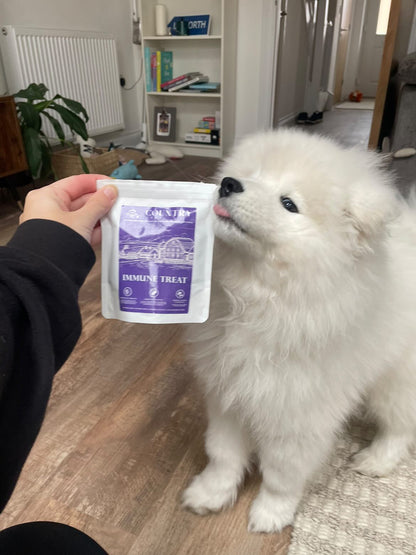 Immune Boost Bites-Dog Treats