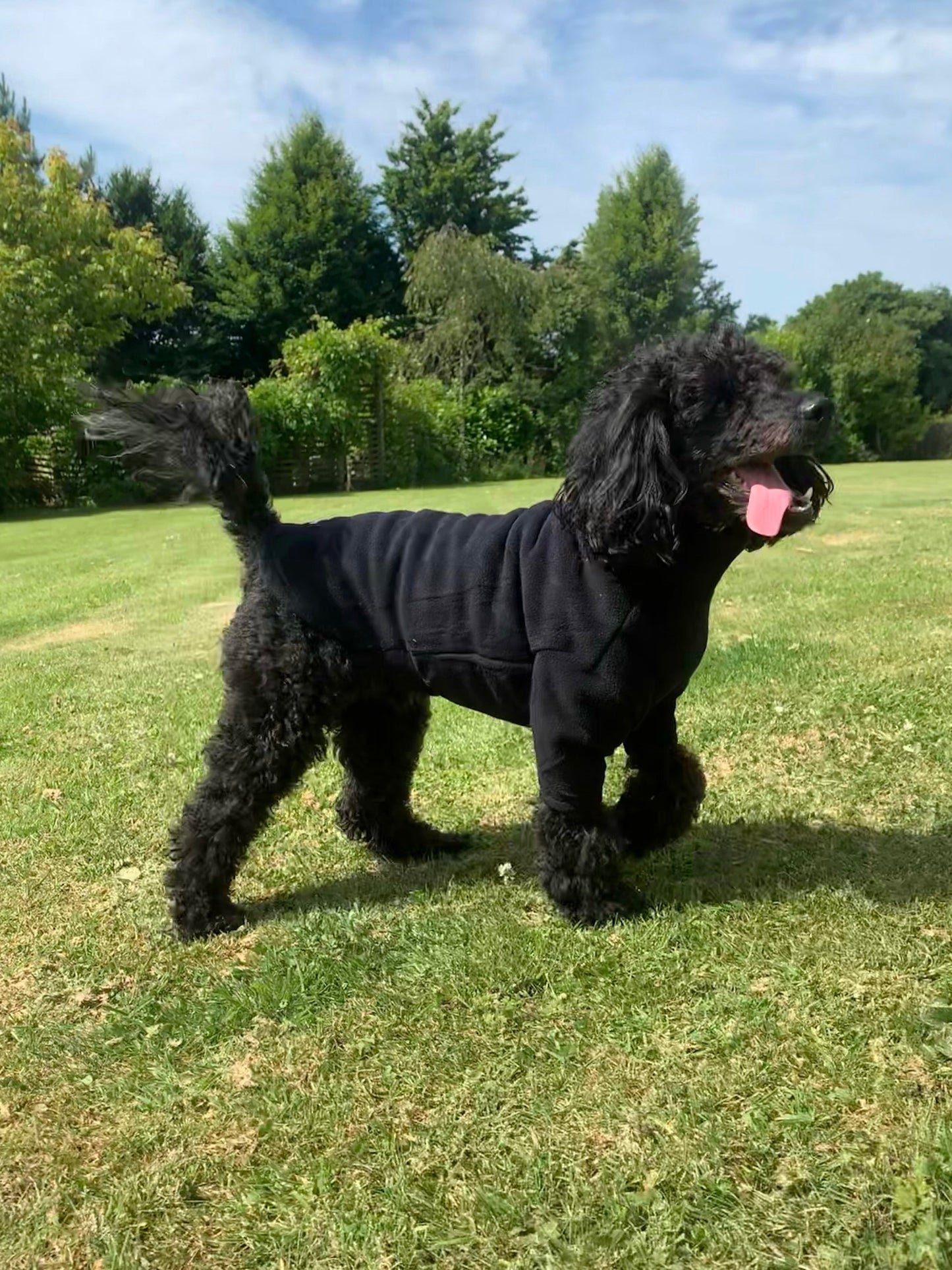 HotterDog-Dog Jumper