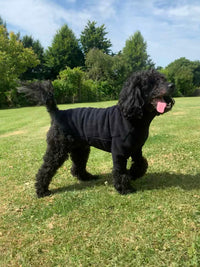 HotterDog-Dog Jumper