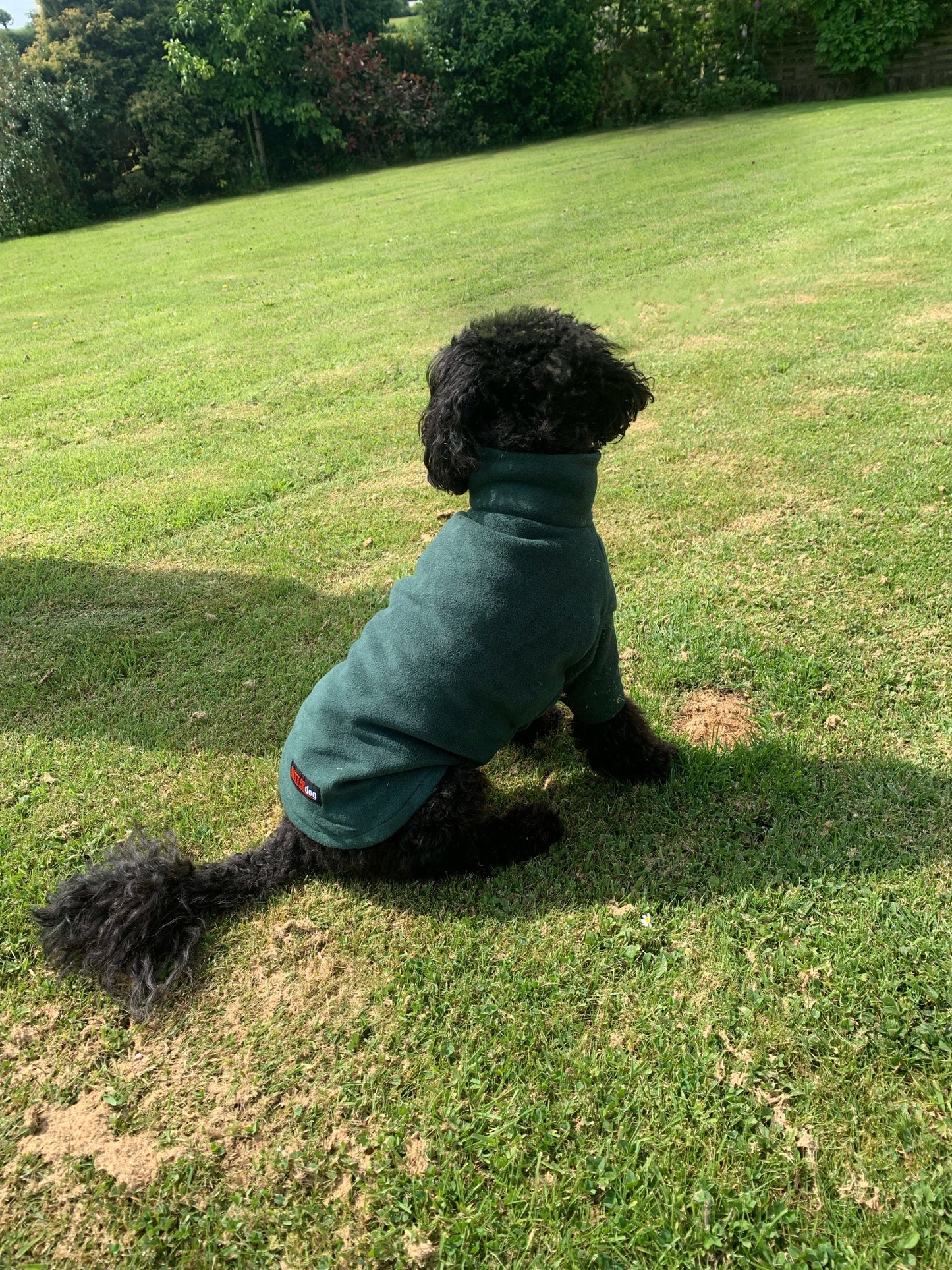 HotterDog-Dog Jumper