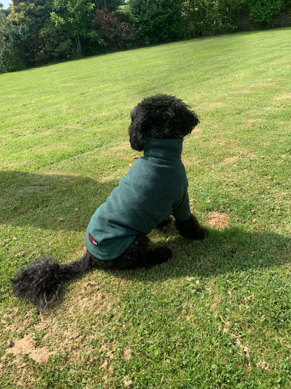 HotterDog-Dog Jumper