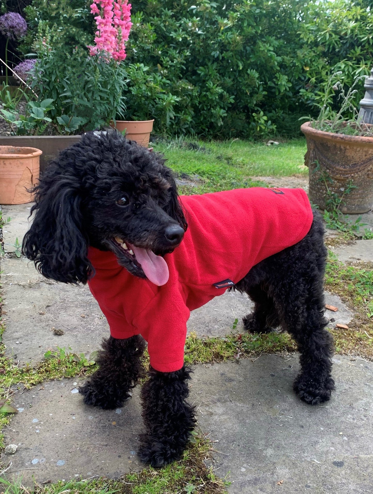 HotterDog-Dog Jumper