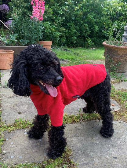 HotterDog-Dog Jumper